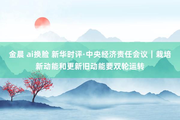 金晨 ai换脸 新华时评·中央经济责任会议｜栽培新动能和更新旧动能要双轮运转