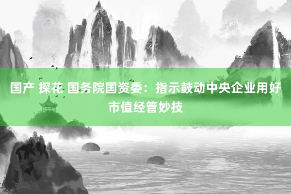 国产 探花 国务院国资委：指示鼓动中央企业用好市值经管妙技