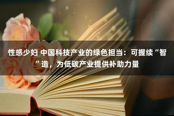 性感少妇 中国科技产业的绿色担当：可握续“智”造，为低碳产业提供补助力量