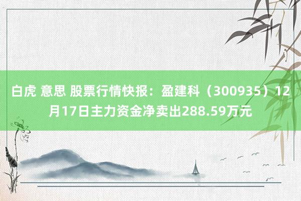 白虎 意思 股票行情快报：盈建科（300935）12月17日主力资金净卖出288.59万元