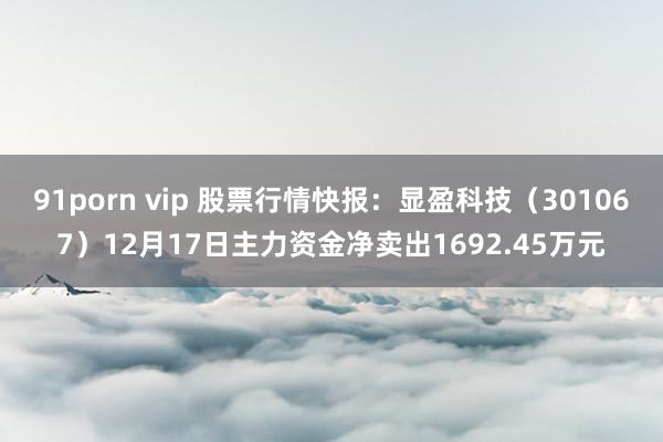 91porn vip 股票行情快报：显盈科技（301067）12月17日主力资金净卖出1692.45万元