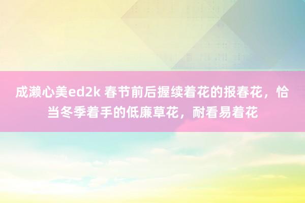 成濑心美ed2k 春节前后握续着花的报春花，恰当冬季着手的低廉草花，耐看易着花