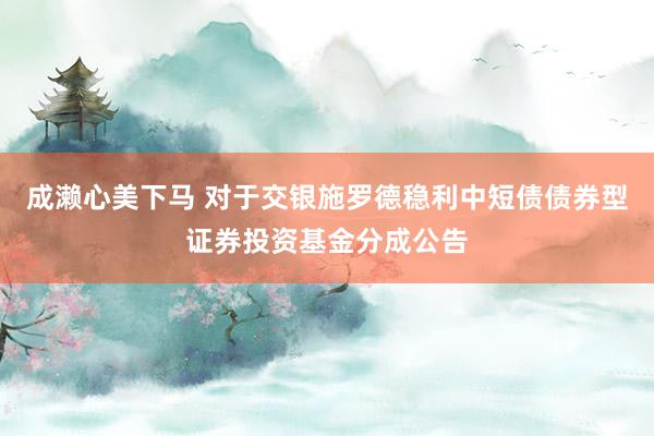 成濑心美下马 对于交银施罗德稳利中短债债券型证券投资基金分成公告