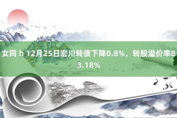 女同 h 12月25日宏川转债下降0.8%，转股溢价率83.18%