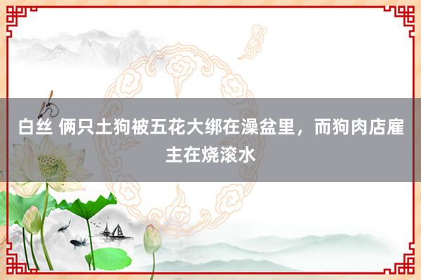 白丝 俩只土狗被五花大绑在澡盆里，而狗肉店雇主在烧滚水