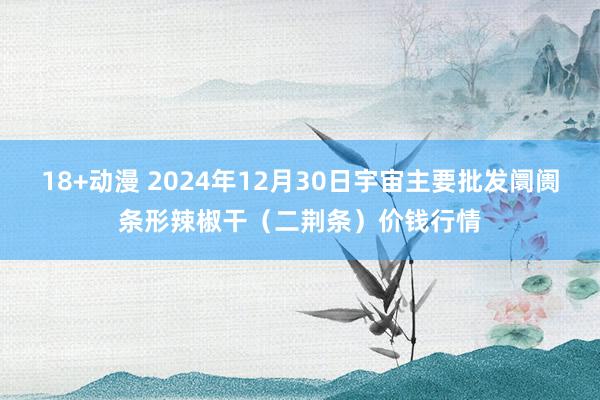 18+动漫 2024年12月30日宇宙主要批发阛阓条形辣椒干（二荆条）价钱行情