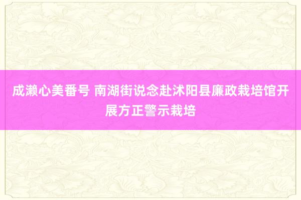 成濑心美番号 南湖街说念赴沭阳县廉政栽培馆开展方正警示栽培