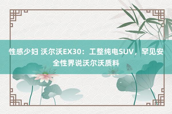 性感少妇 沃尔沃EX30：工整纯电SUV，罕见安全性界说沃尔沃质料