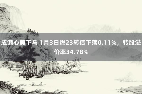 成濑心美下马 1月3日燃23转债下落0.11%，转股溢价率34.78%