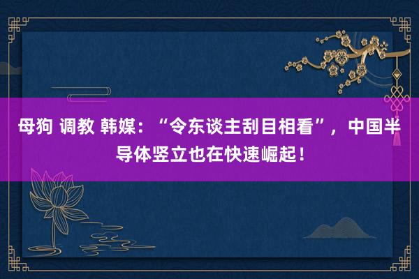 母狗 调教 韩媒：“令东谈主刮目相看”，中国半导体竖立也在快速崛起！