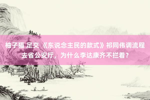 柚子猫 足交 《东说念主民的款式》祁同伟调流程去省公安厅，为什么李达康齐不拦着？