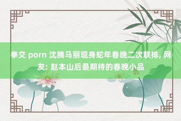 拳交 porn 沈腾马丽现身蛇年春晚二次联排， 网友: 赵本山后最期待的春晚小品