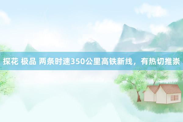 探花 极品 两条时速350公里高铁新线，有热切推崇