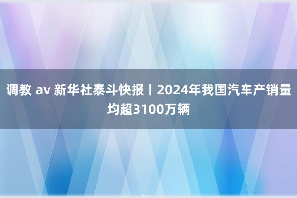 调教 av 新华社泰斗快报丨2024年我国汽车产销量均超3100万辆