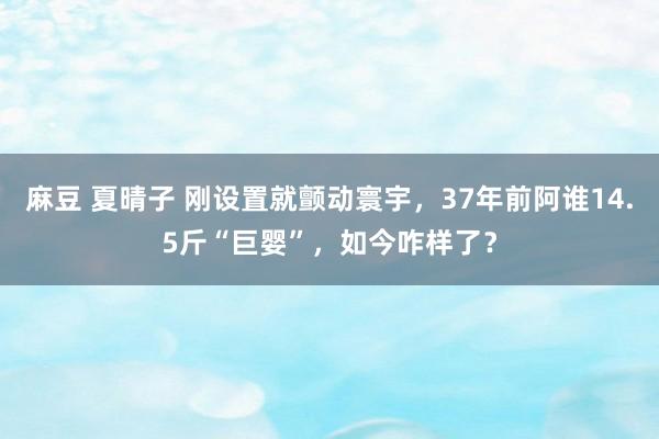 麻豆 夏晴子 刚设置就颤动寰宇，37年前阿谁14.5斤“巨婴”，如今咋样了？